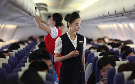 Aviation & Transportation